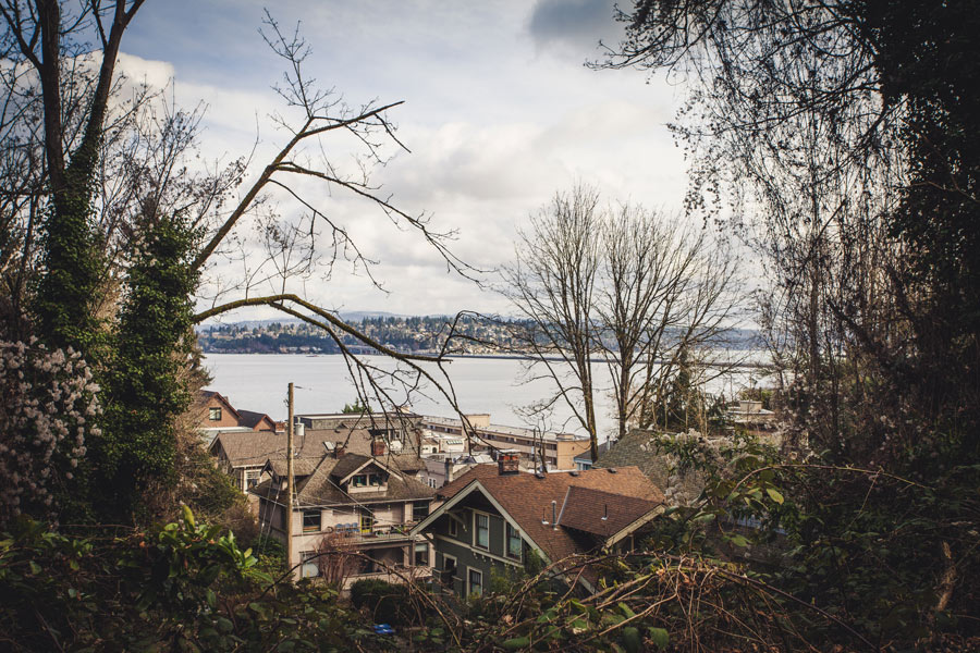 View from above of homes and lake in Leschi.