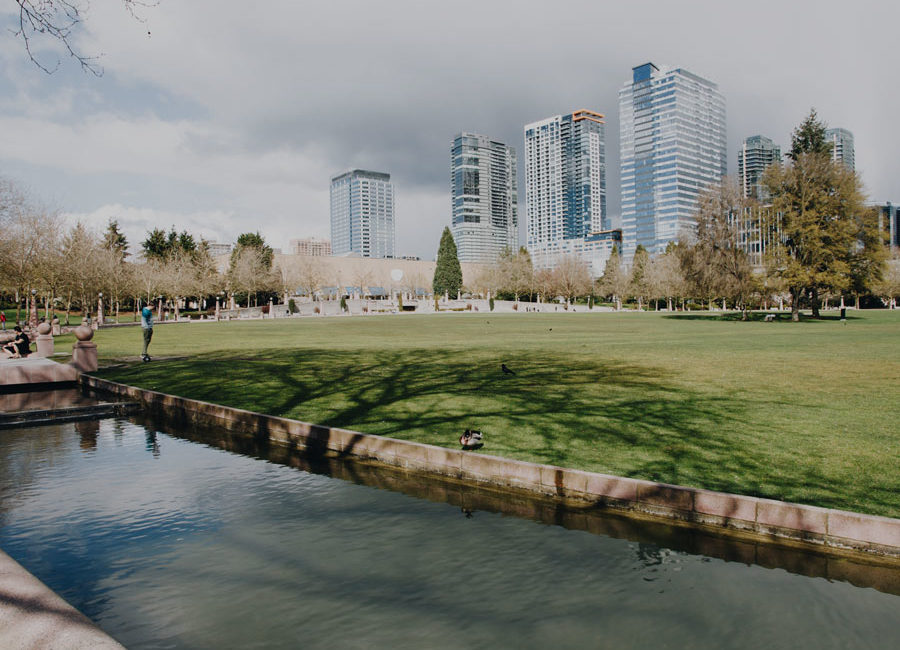 View of skyscrapers behind park in Bellevue.