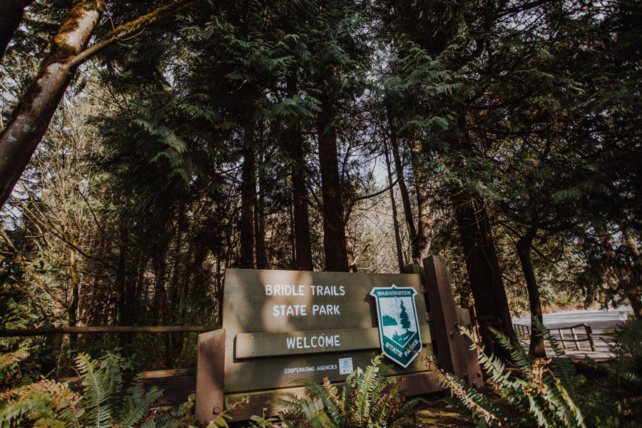 Bridle Trails State Park wooden welcome sign.