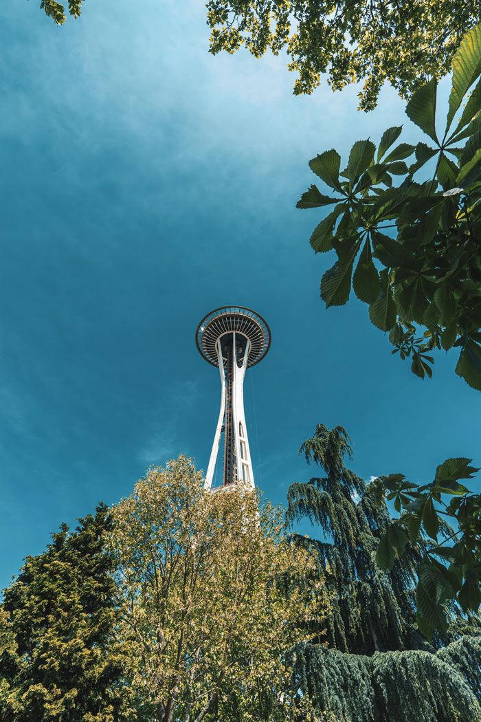 View of Space Needle rising over treetops.
