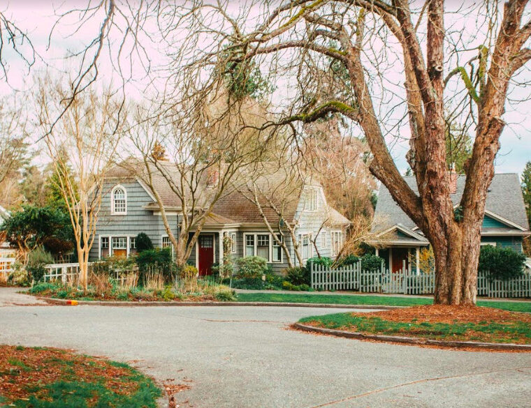 image of house on a suburban street with large tree in front